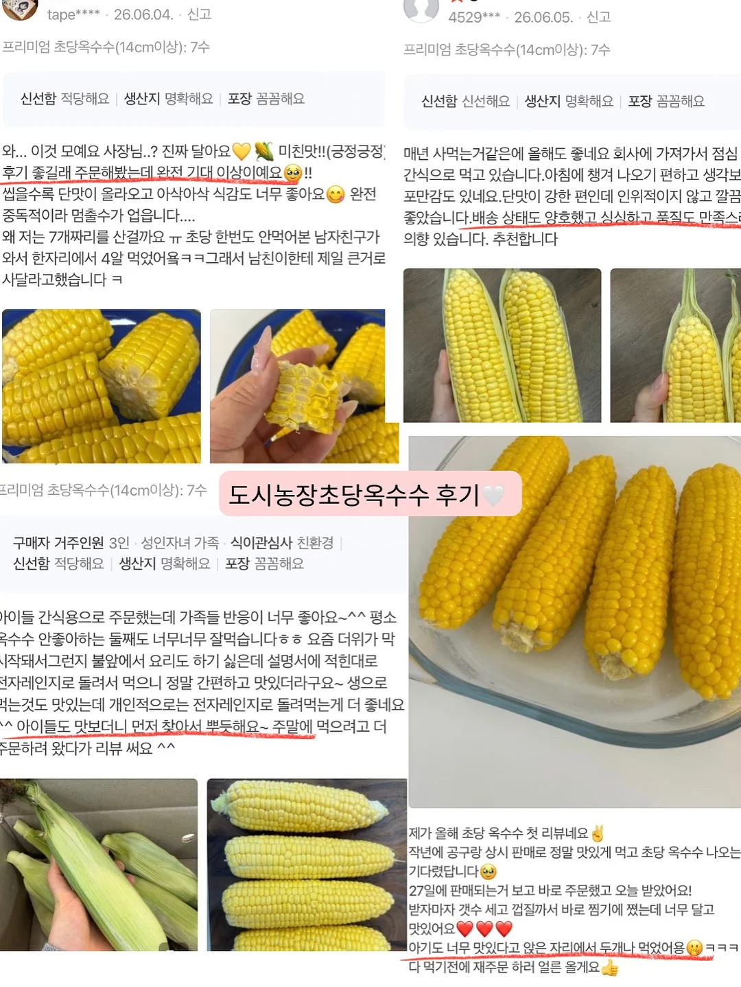코르딕스 루프 캐리어 4