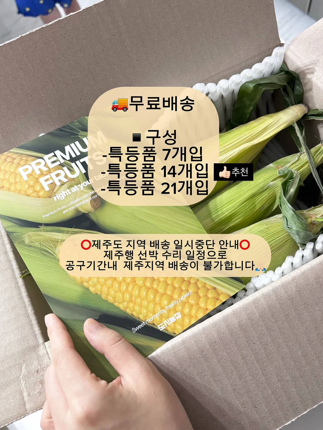 코르딕스 루프 캐리어 6