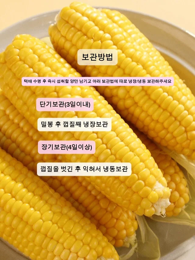 코르딕스 루프 캐리어 7