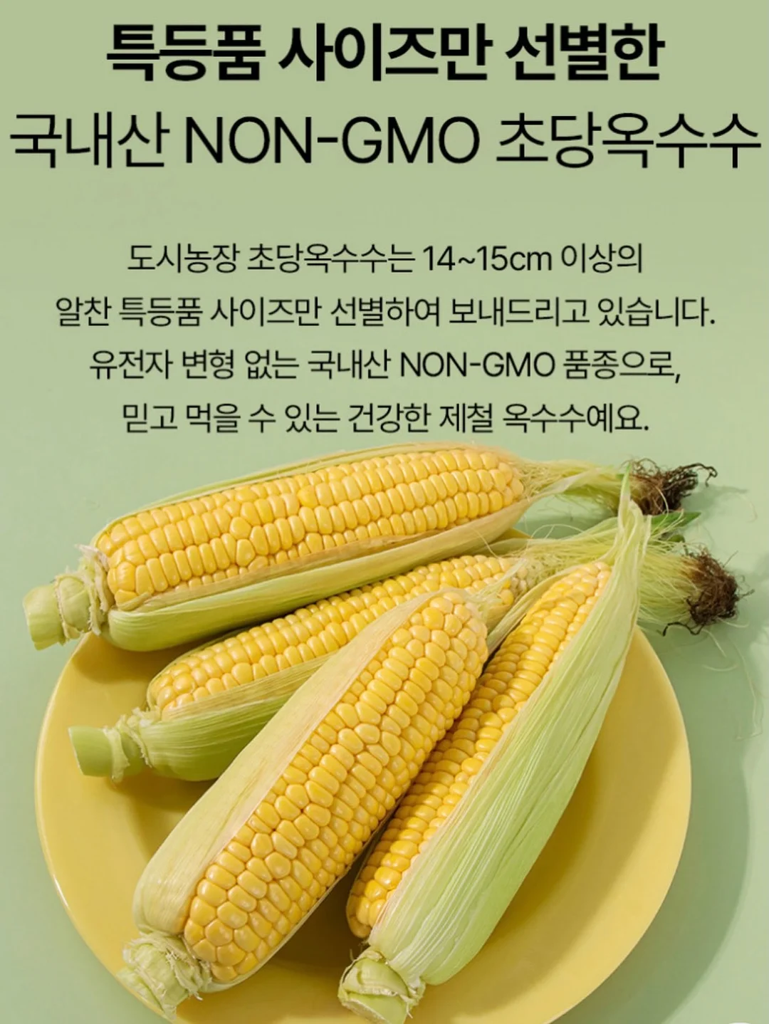 코르딕스 루프 캐리어 8