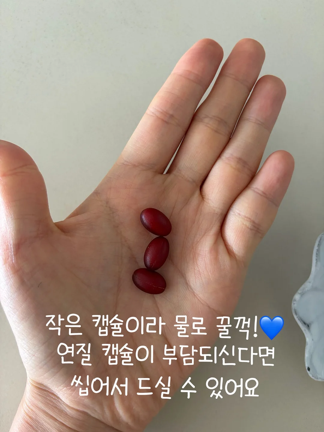 폴로 티셔츠 팬츠 세트 2