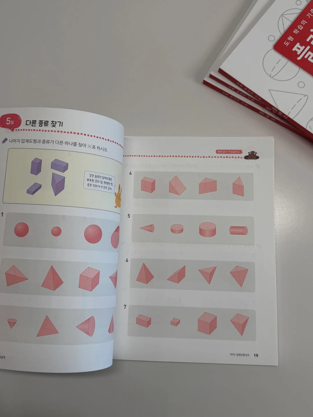 2000평 규모 실내 놀이터 14