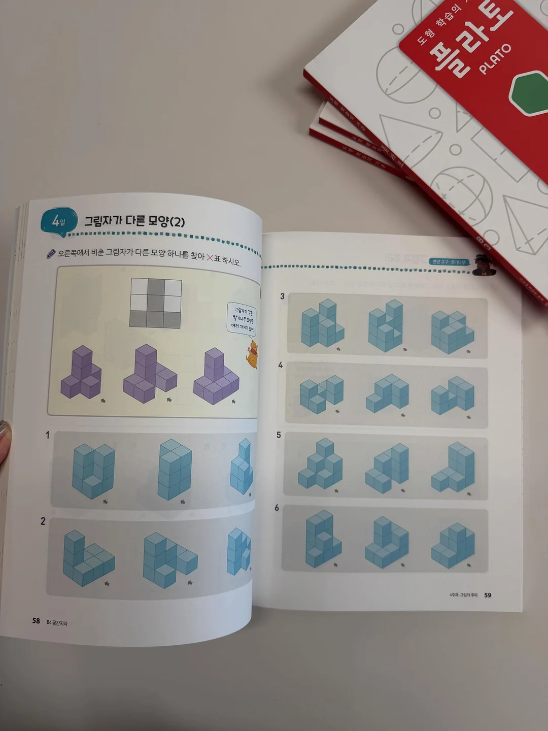 2000평 규모 실내 놀이터 15