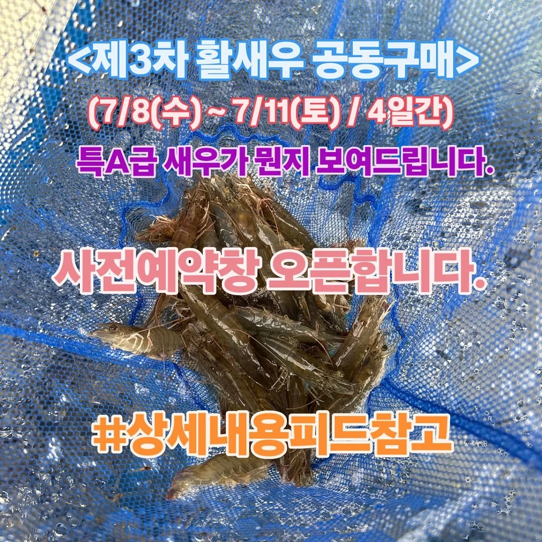 테릭스실드 소화형 패치