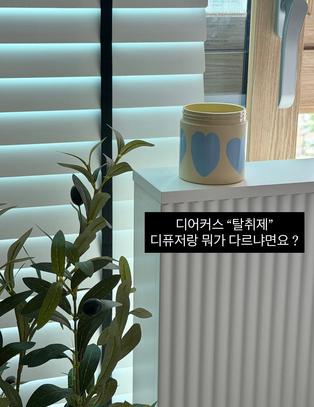 콤보눈썹 1