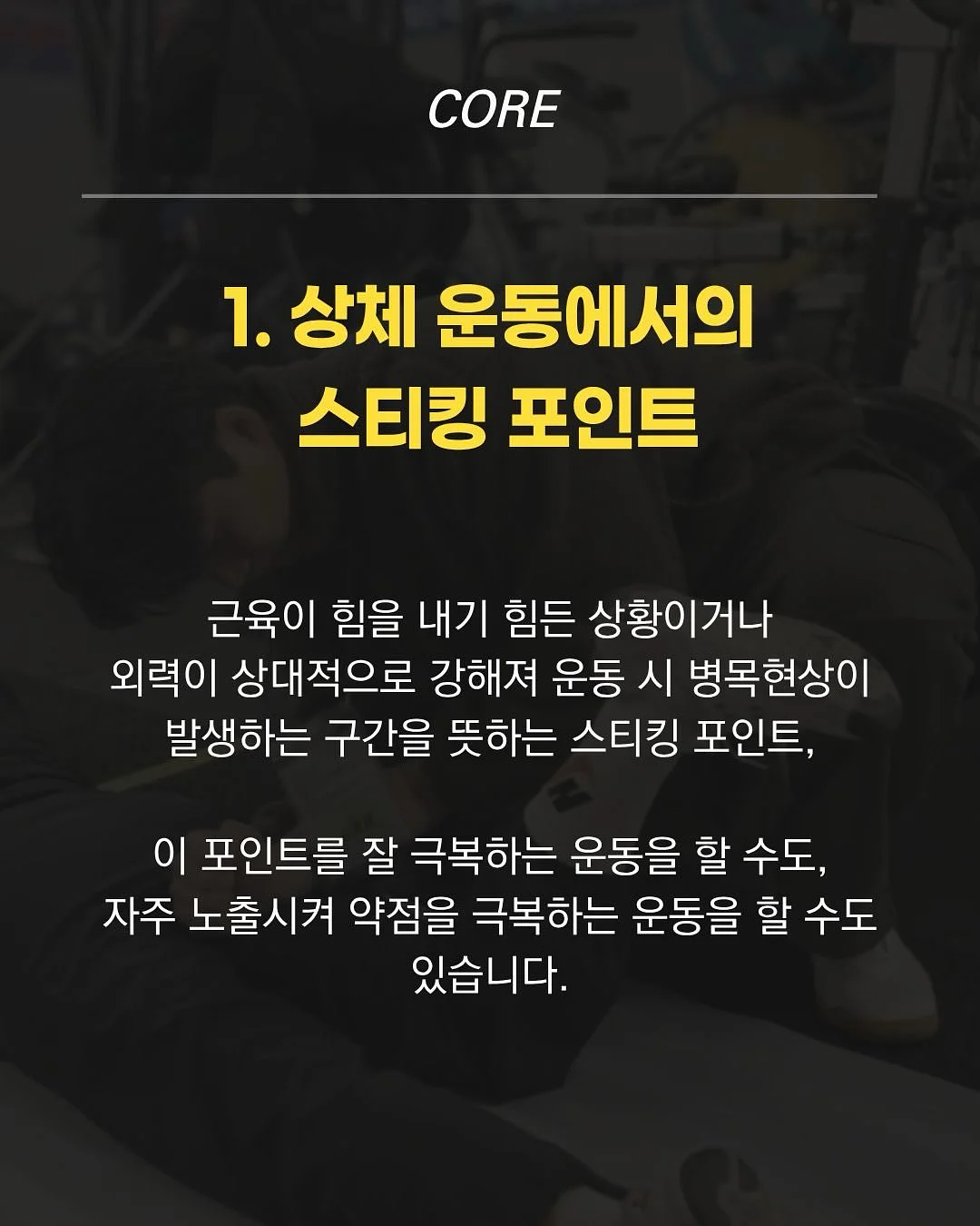 몽슈레 유모차 시트 세트 3
