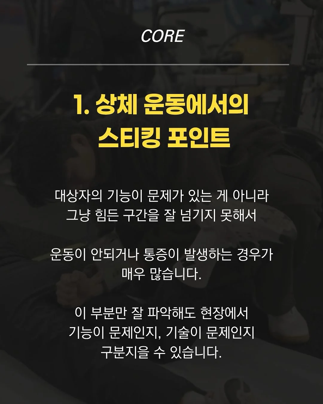 몽슈레 유모차 시트 세트 4