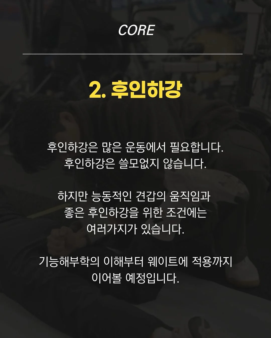 몽슈레 유모차 시트 세트 5