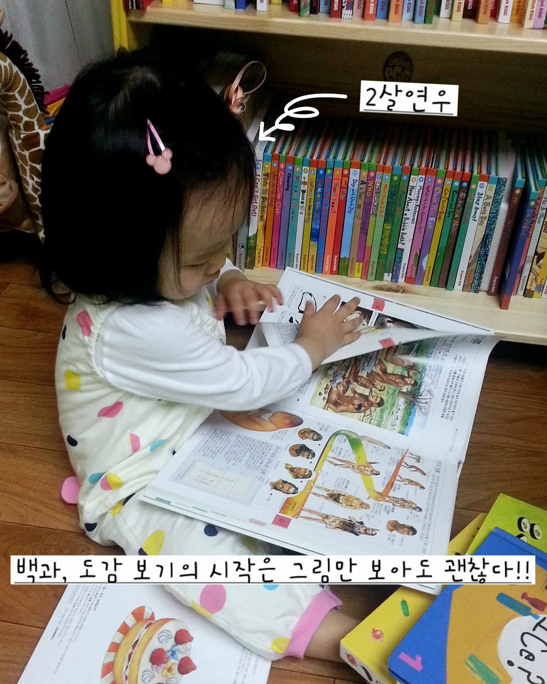 머즈 캐리어 1
