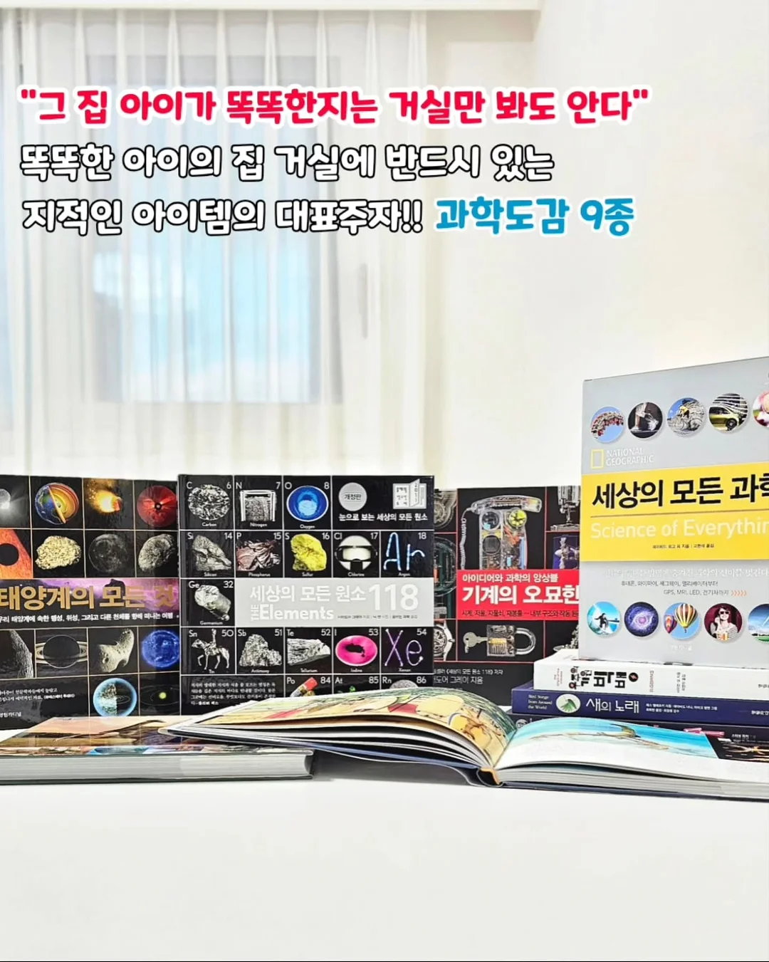 머즈 캐리어 13