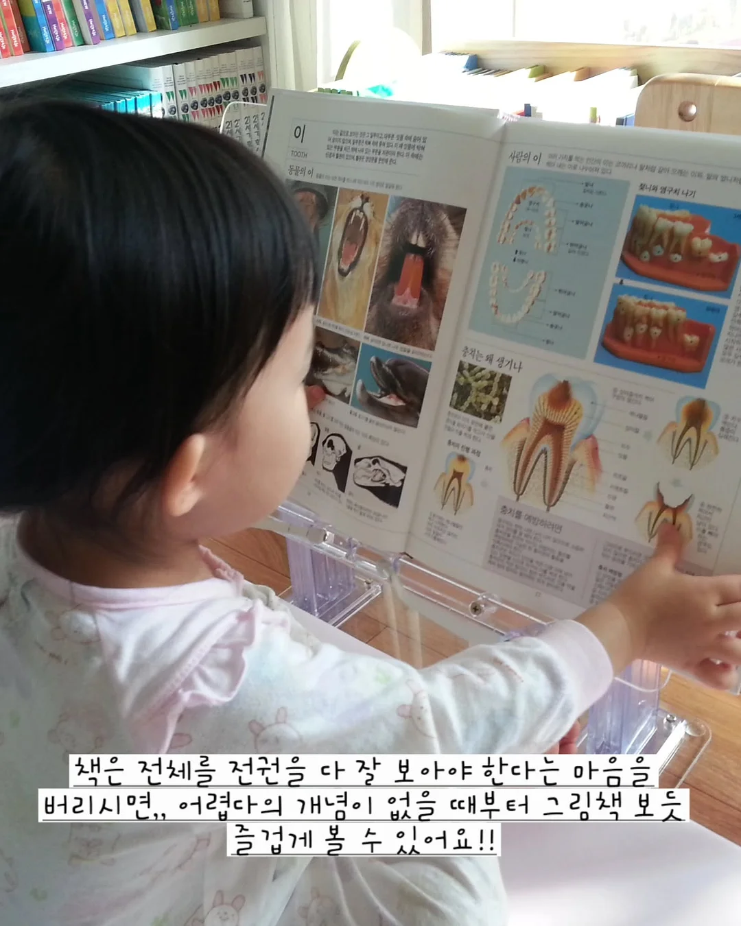 머즈 캐리어 2