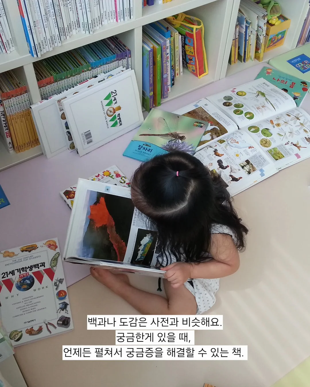 머즈 캐리어 3