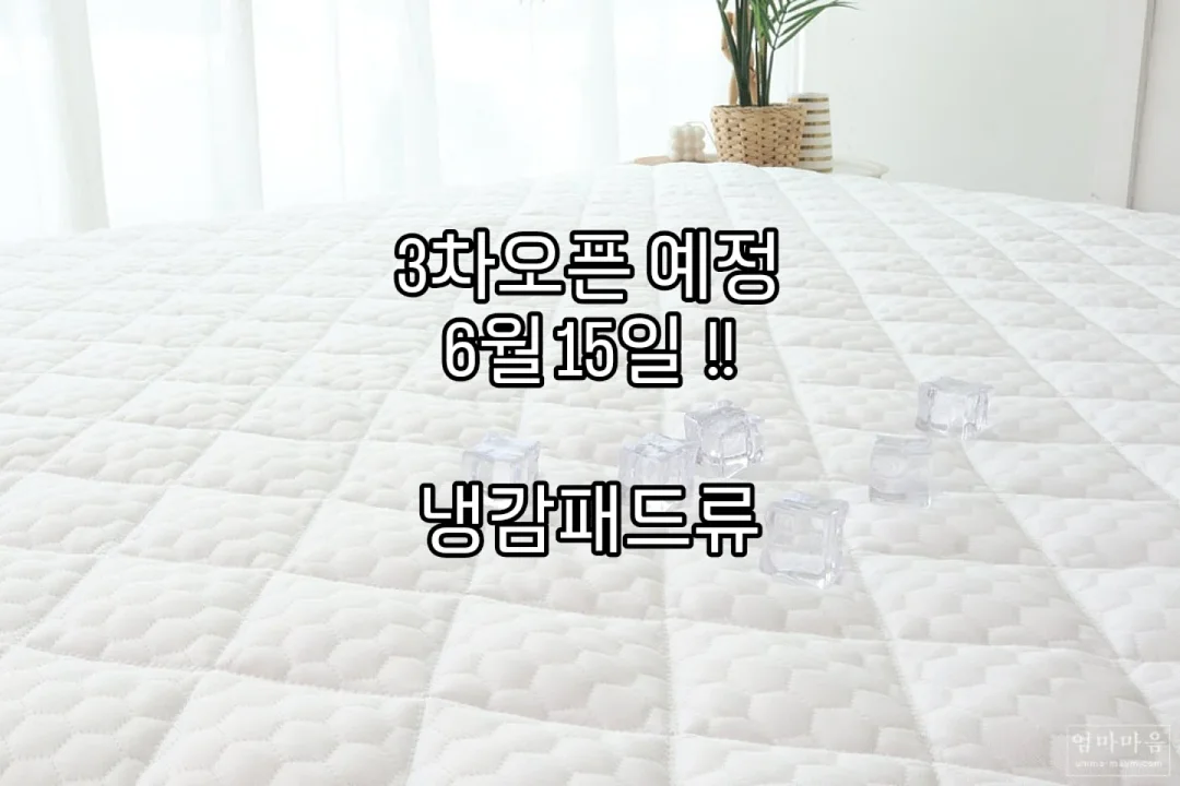 러닝리소스 유아 보드게임