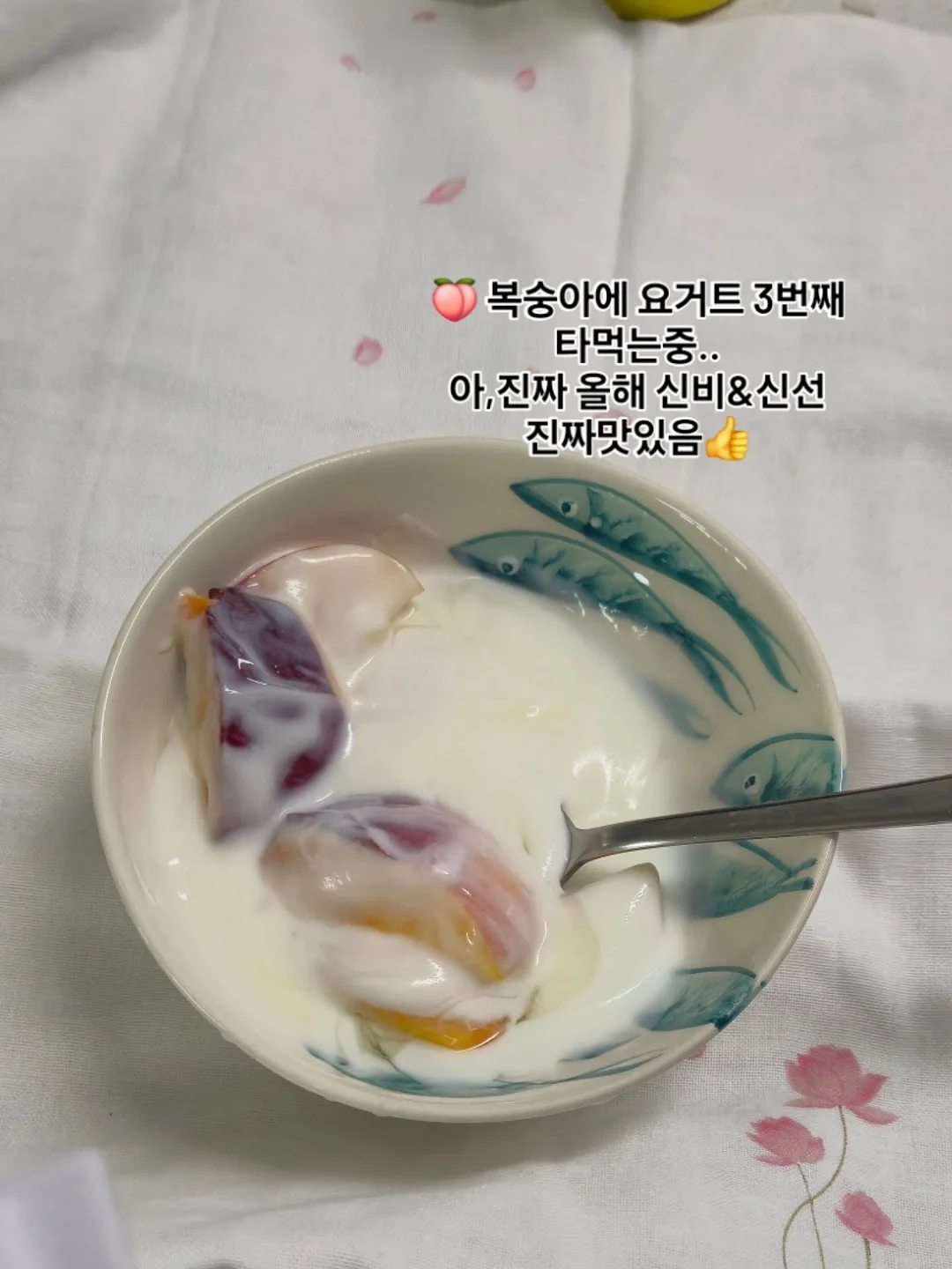 클릭메이트 라이브방송 11