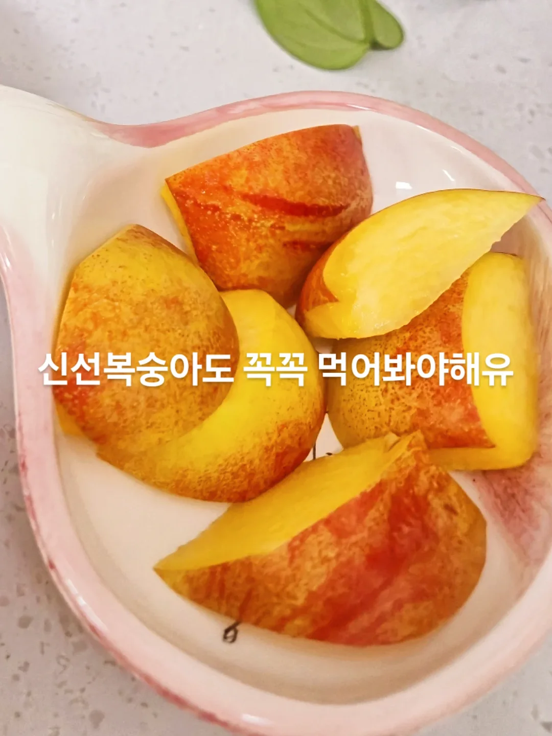 클릭메이트 라이브방송 13