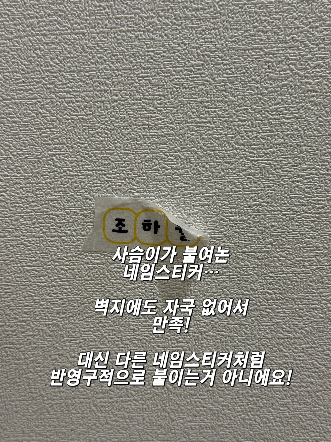 저칼로리 고단백 요리 레시피 5