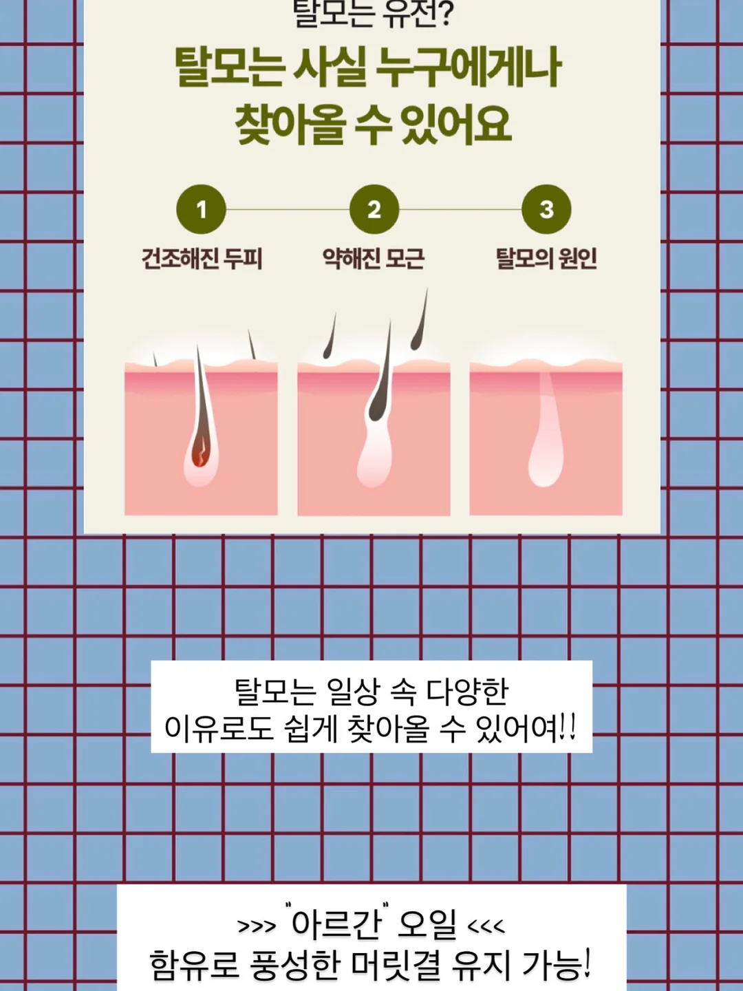 대게 5