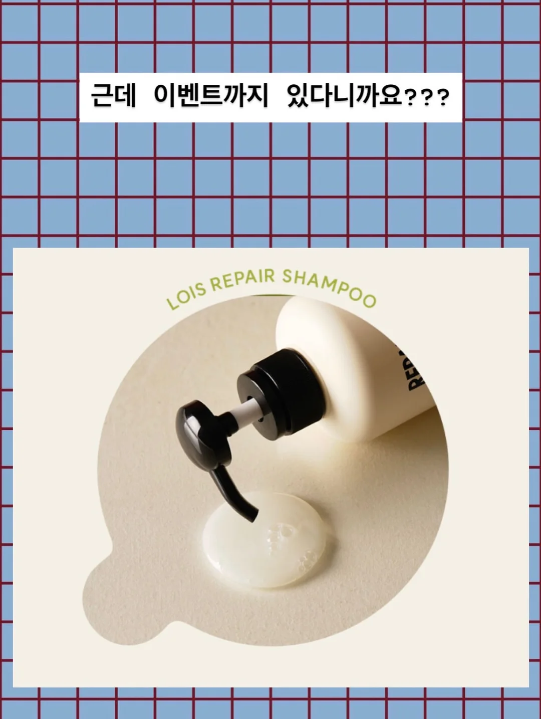대게 8