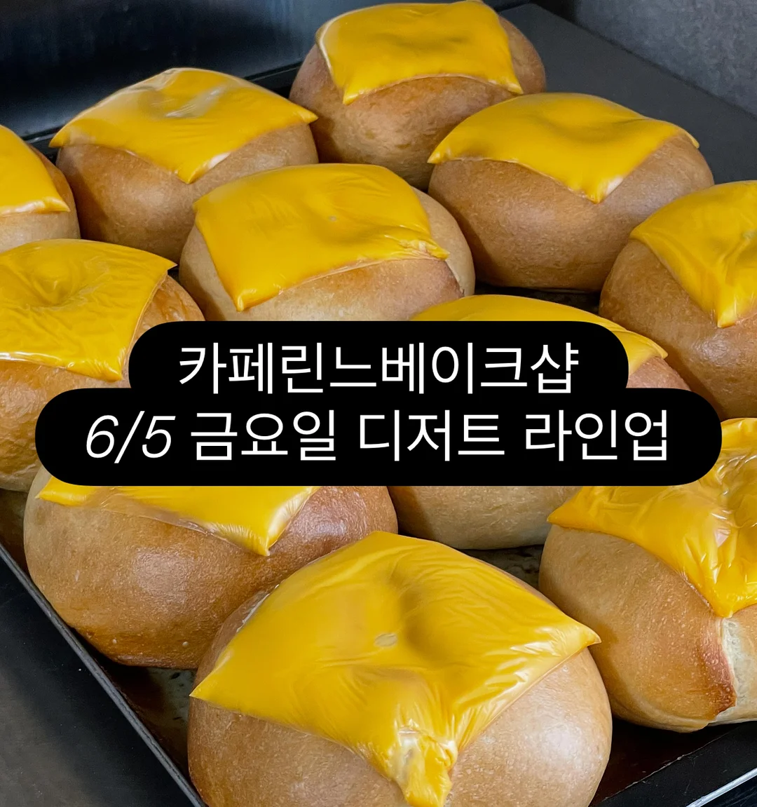 경량 바람막이 자켓
