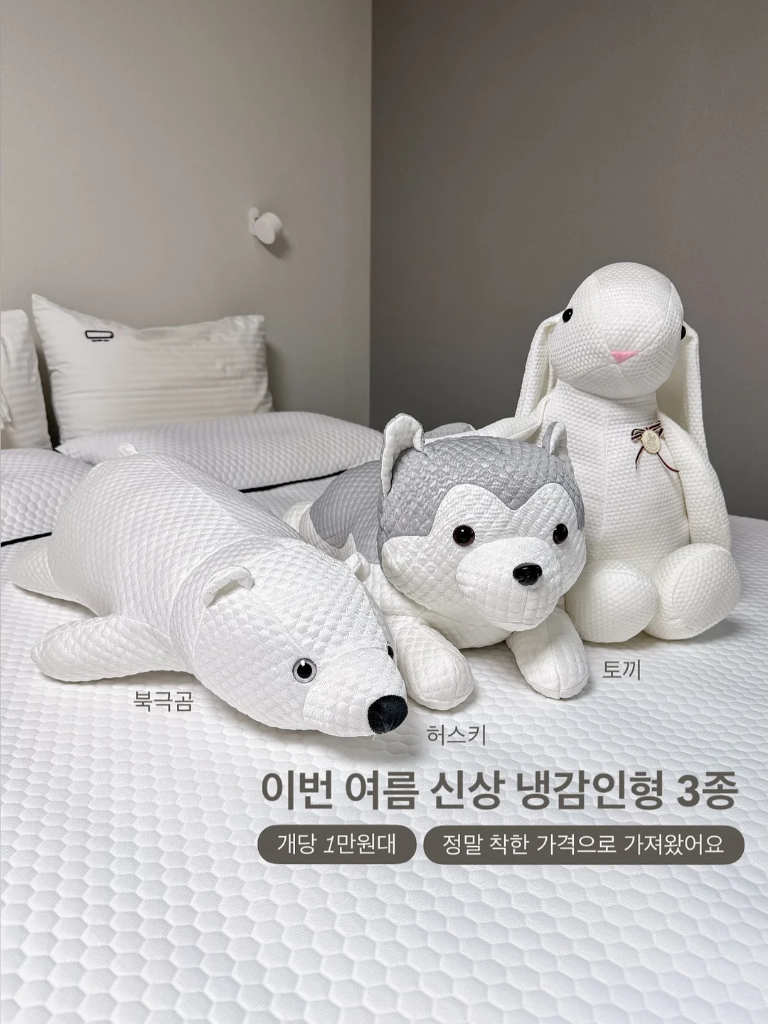 파비 세퀸 가디건 2