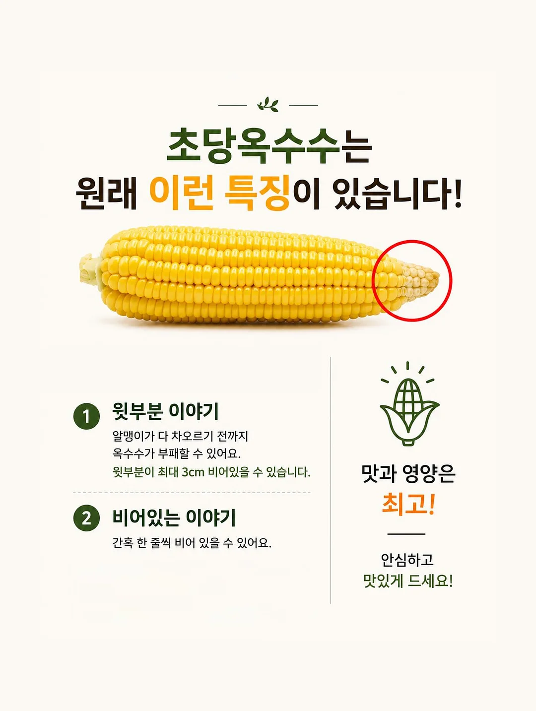 양배추전 11