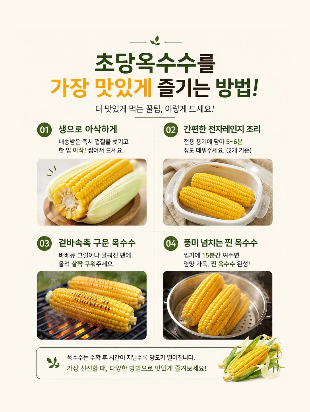 양배추전 13