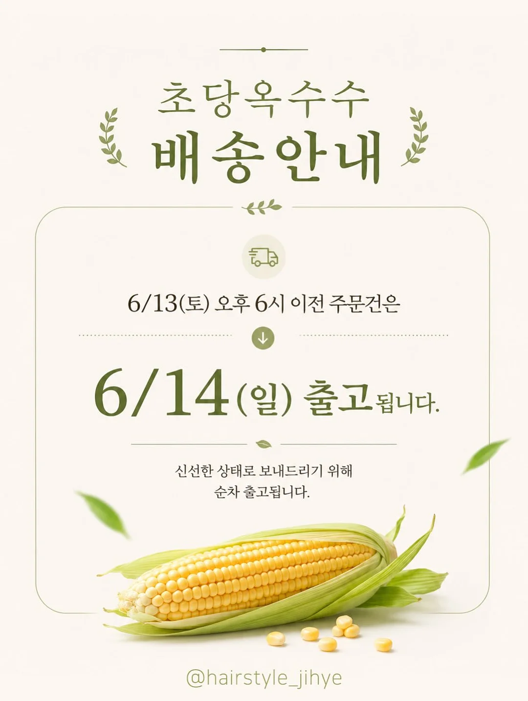 양배추전 14