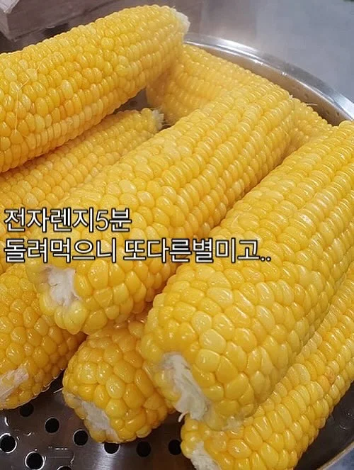 양배추전 2
