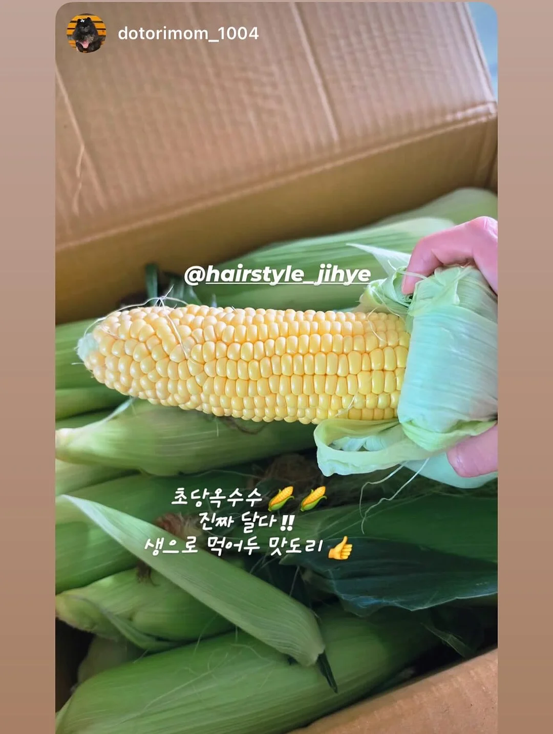 양배추전 3