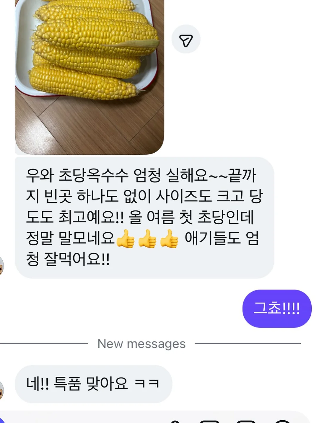양배추전 4