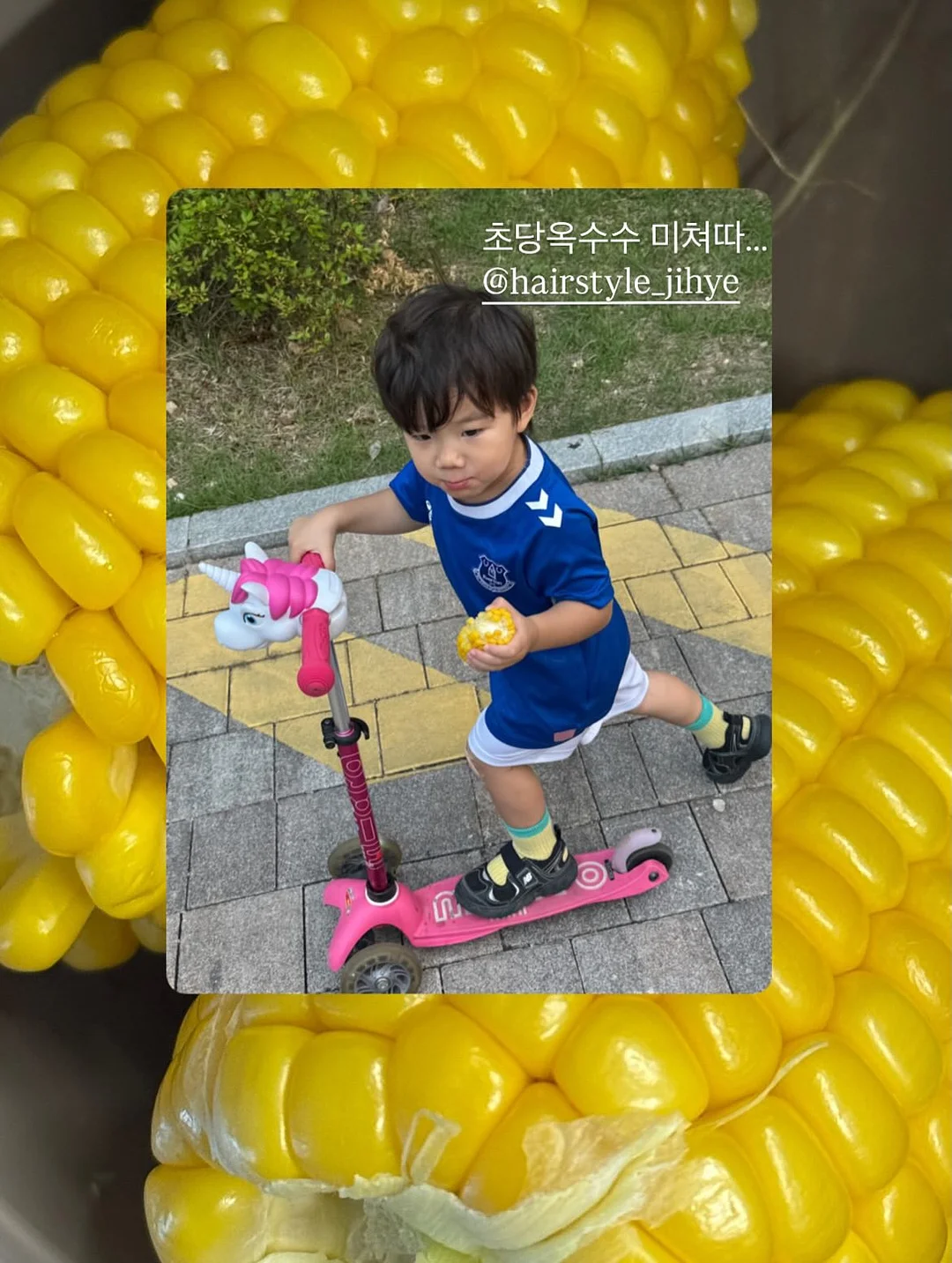 양배추전 6