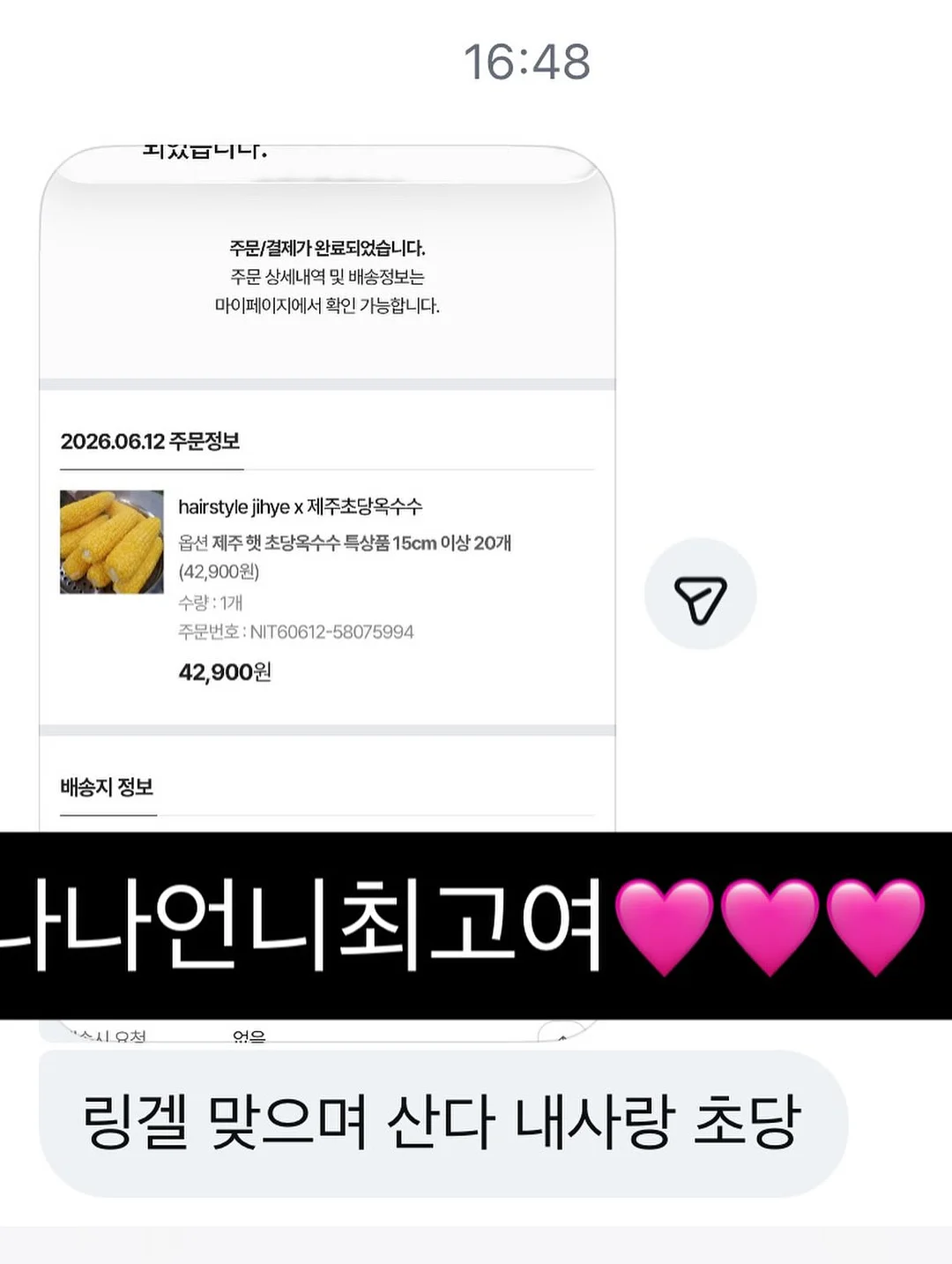 양배추전 9