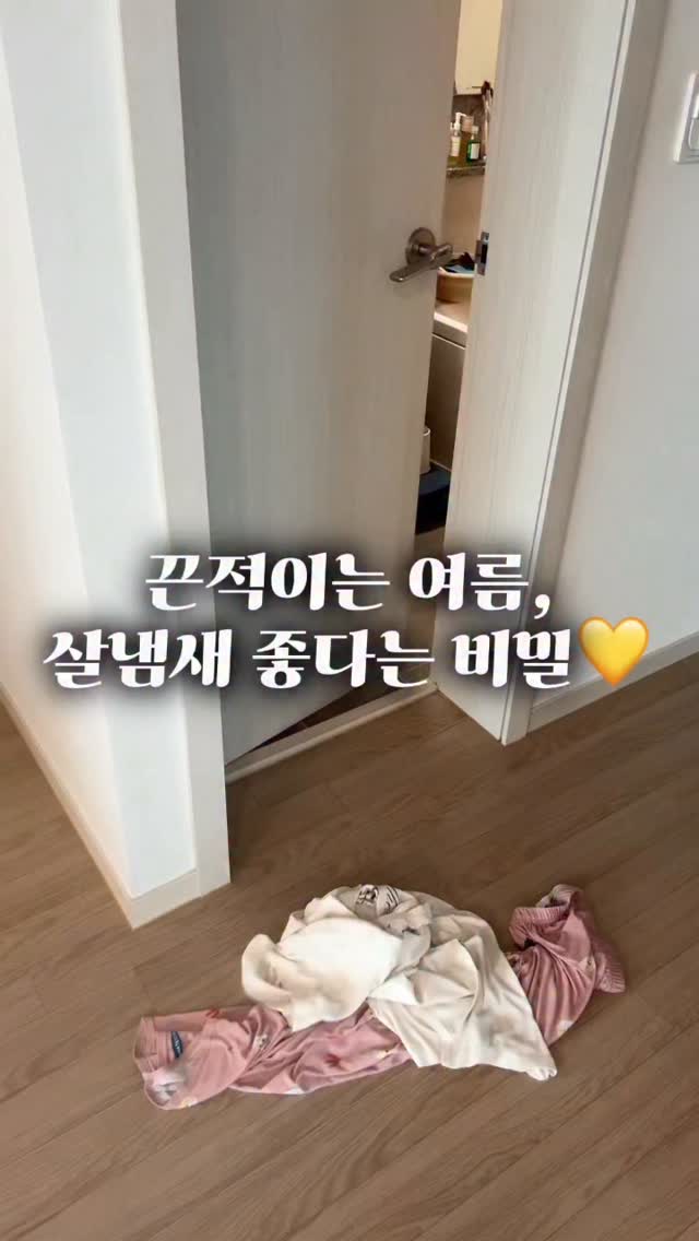 카라반캠핑장 예약