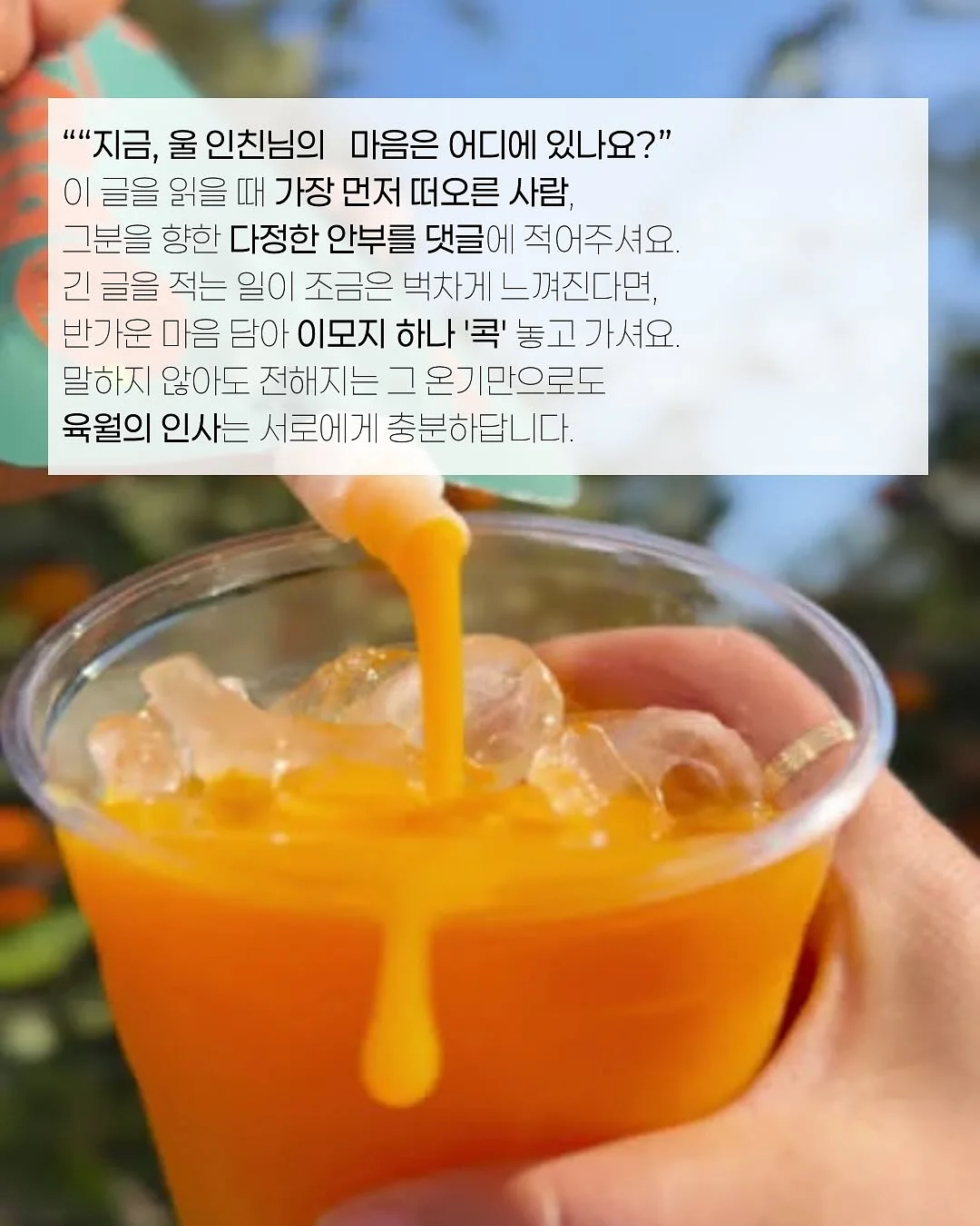 흰옷 세탁 세제 3