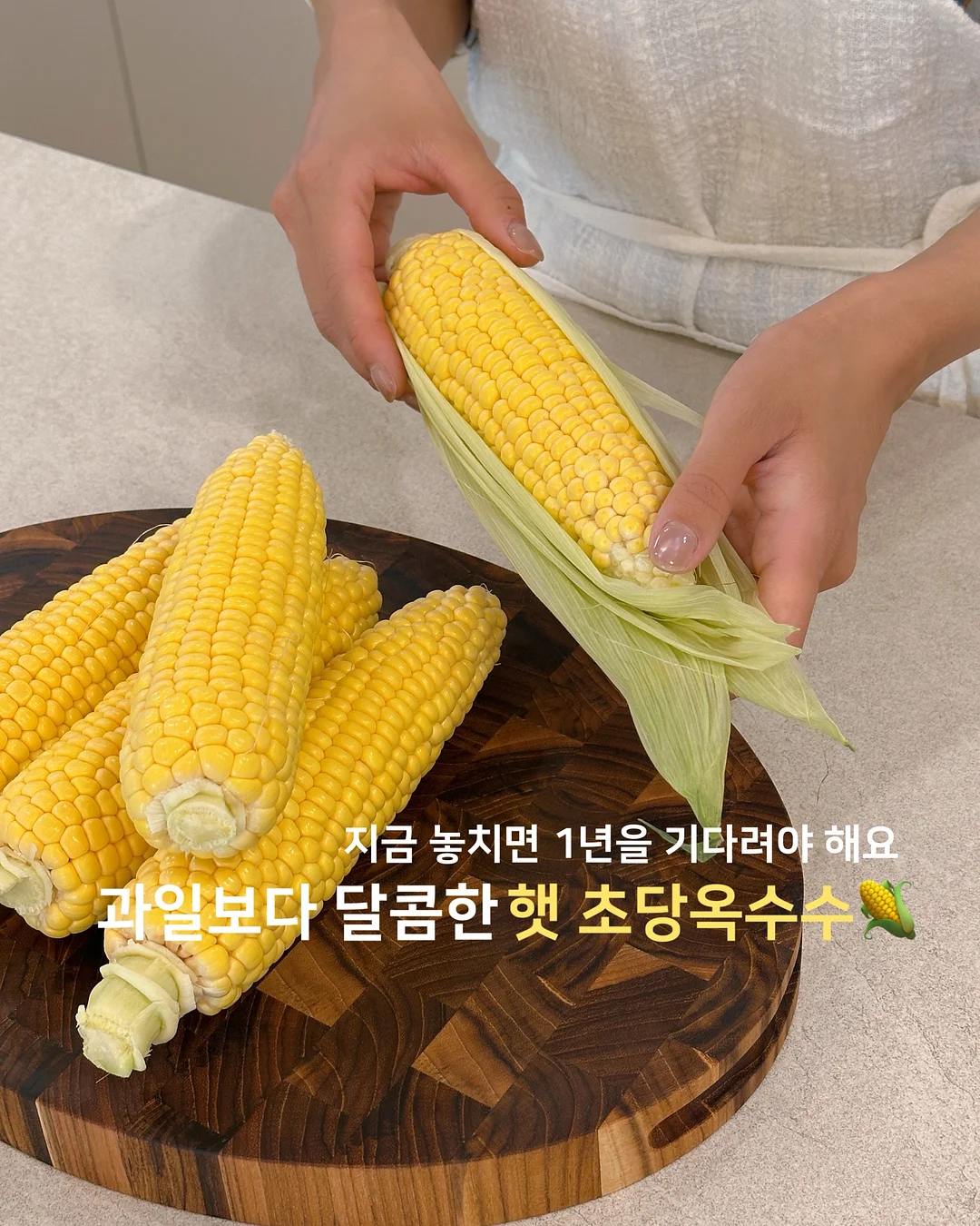 유럽형 스위치 1