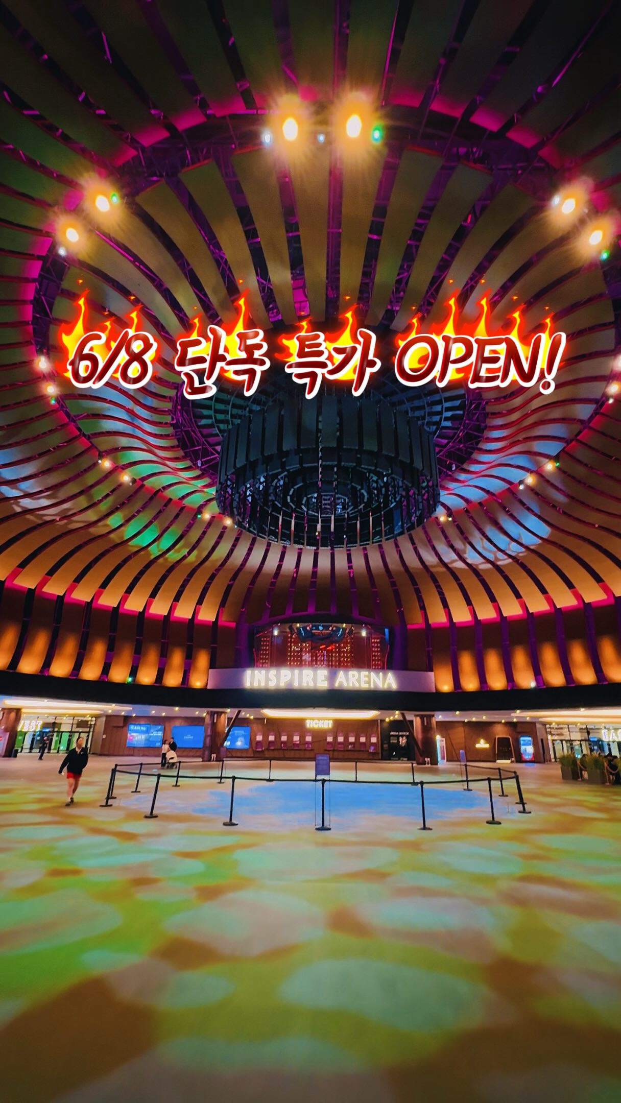 새벽코끼리 오마이호박
