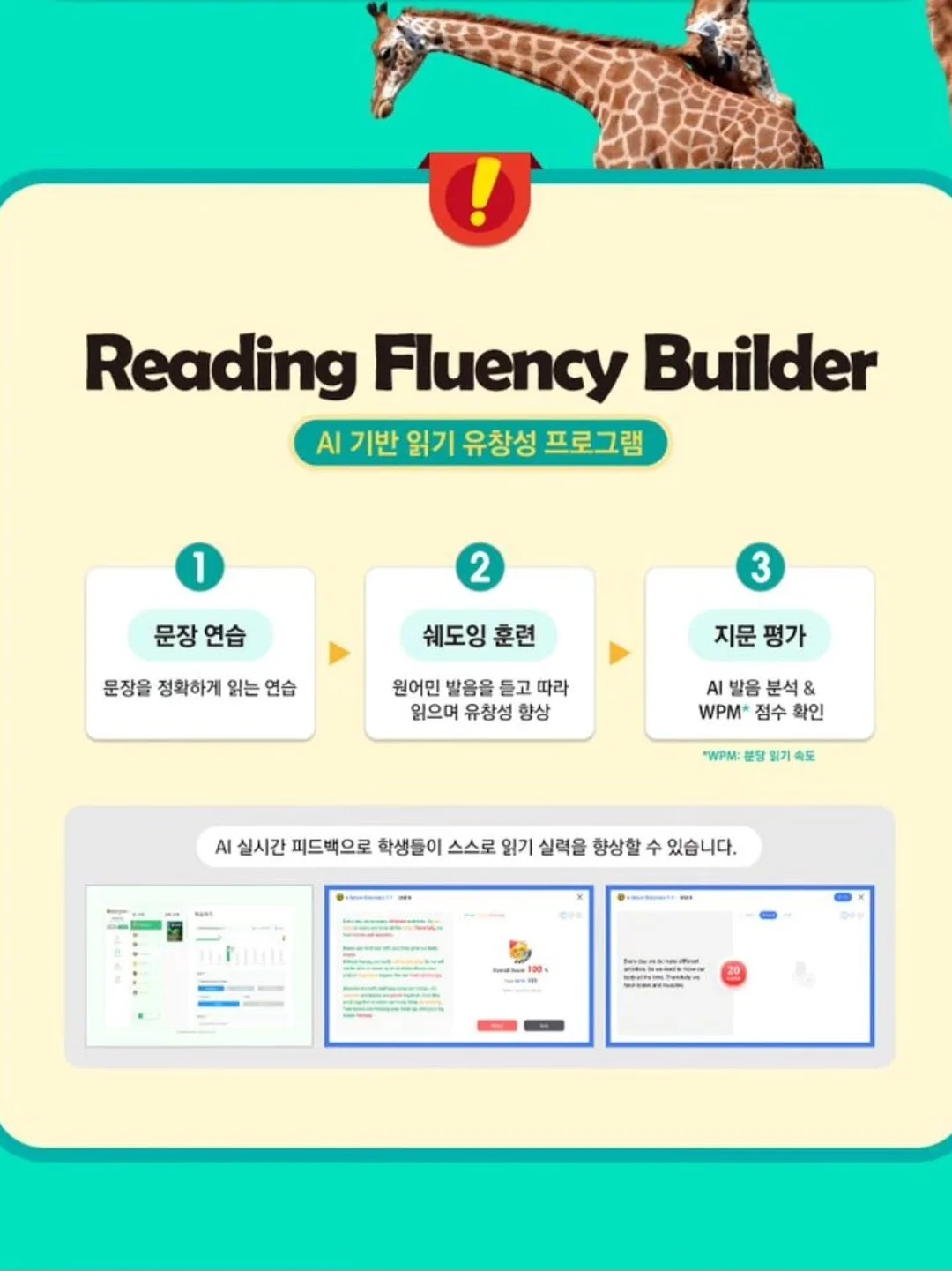 키위새 인형 9