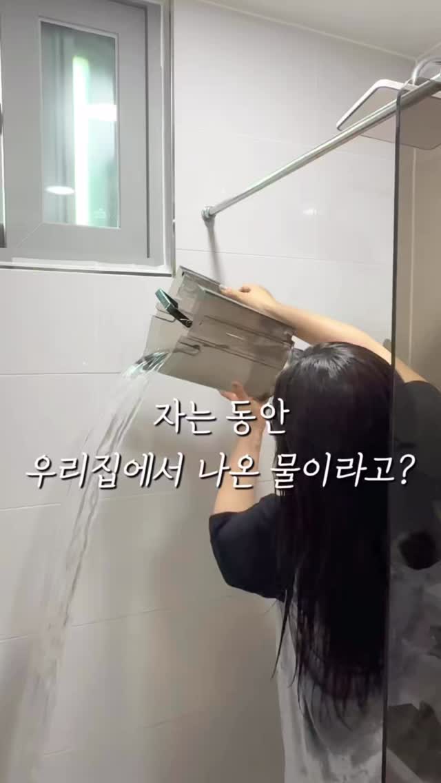 코르딕스 캐리어