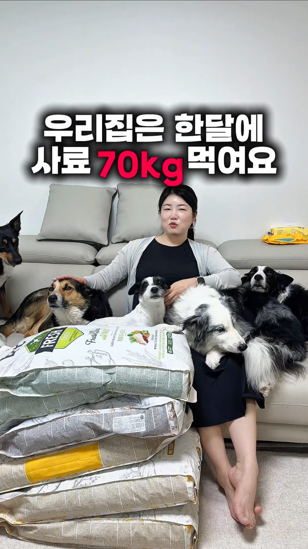 초미니 우양산