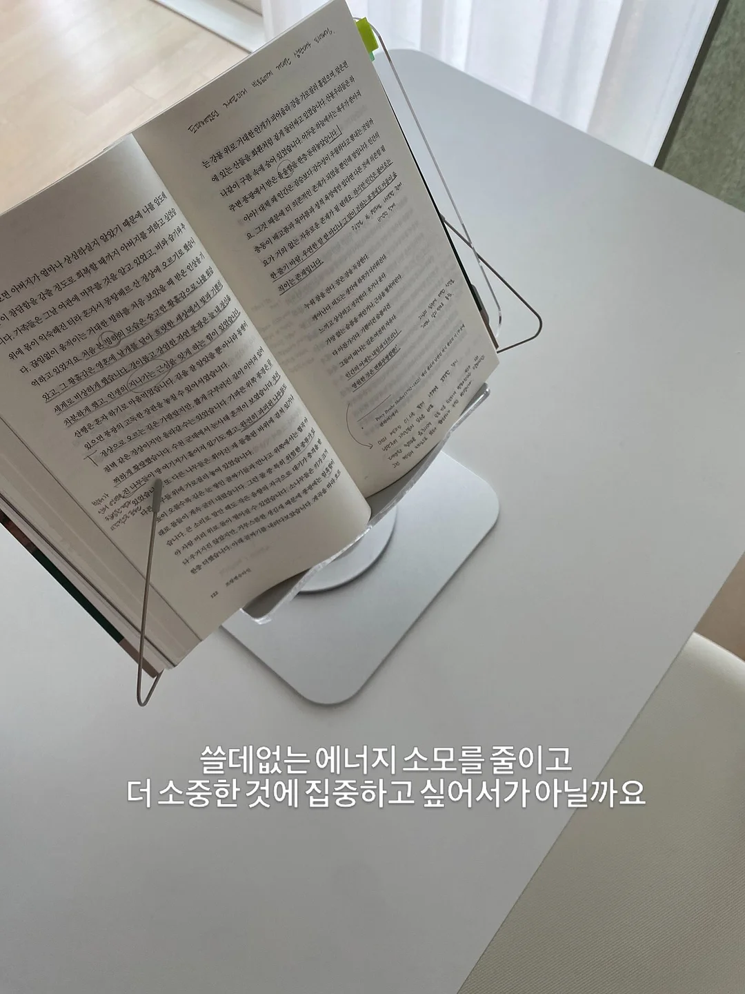 소이든 컬러 2