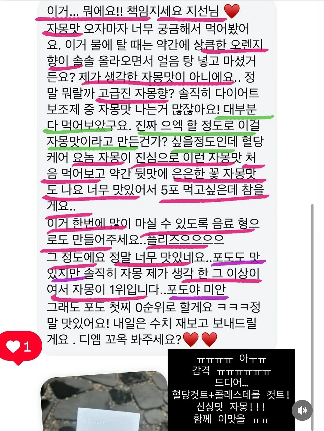 버뮤다 팬츠 14