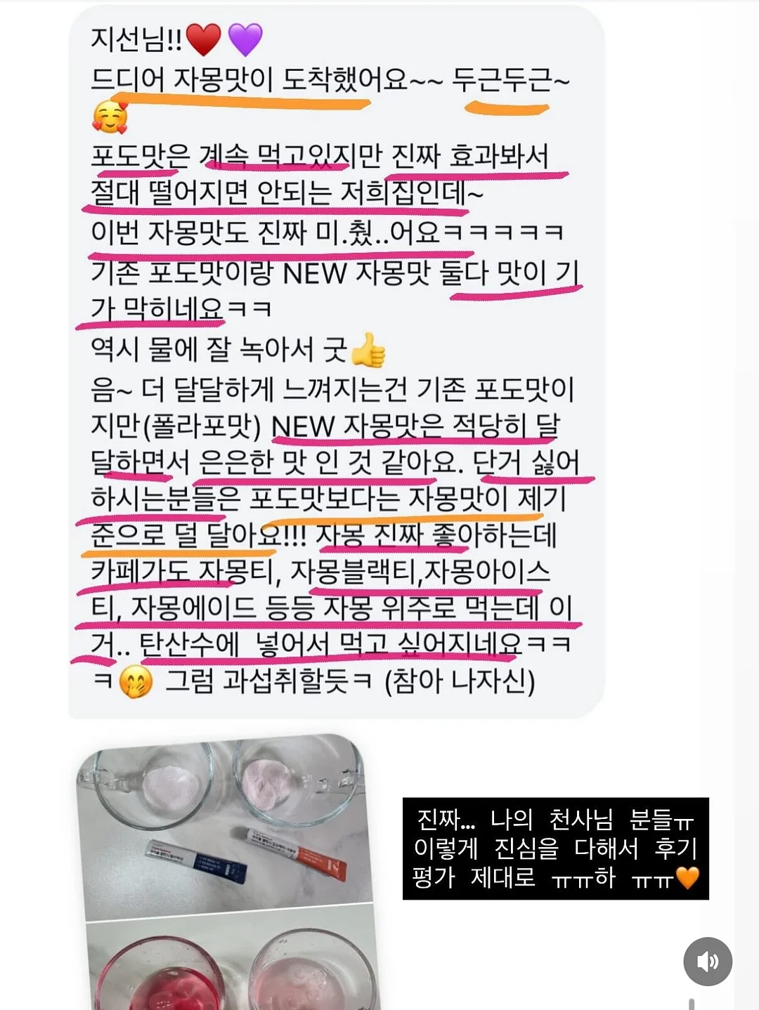 버뮤다 팬츠 15