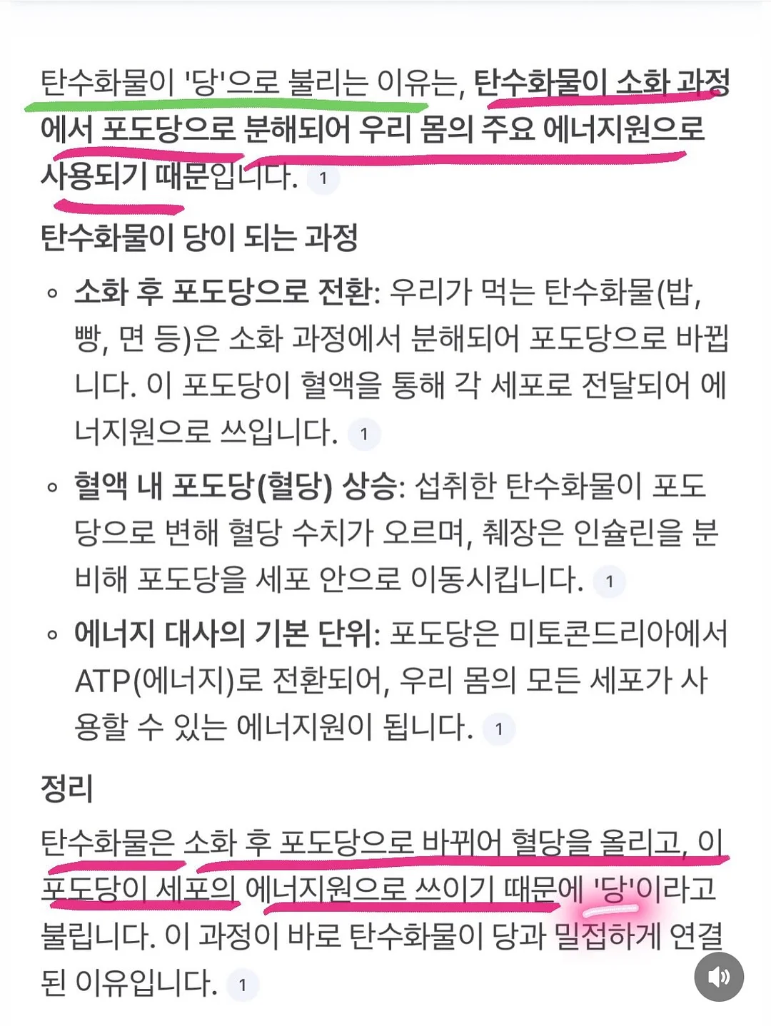 버뮤다 팬츠 18
