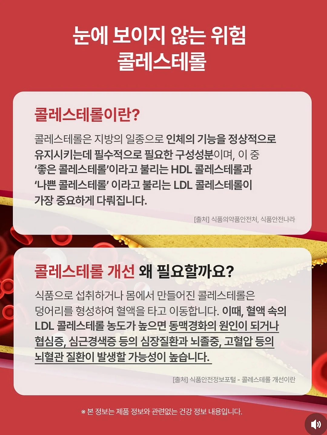 버뮤다 팬츠 9