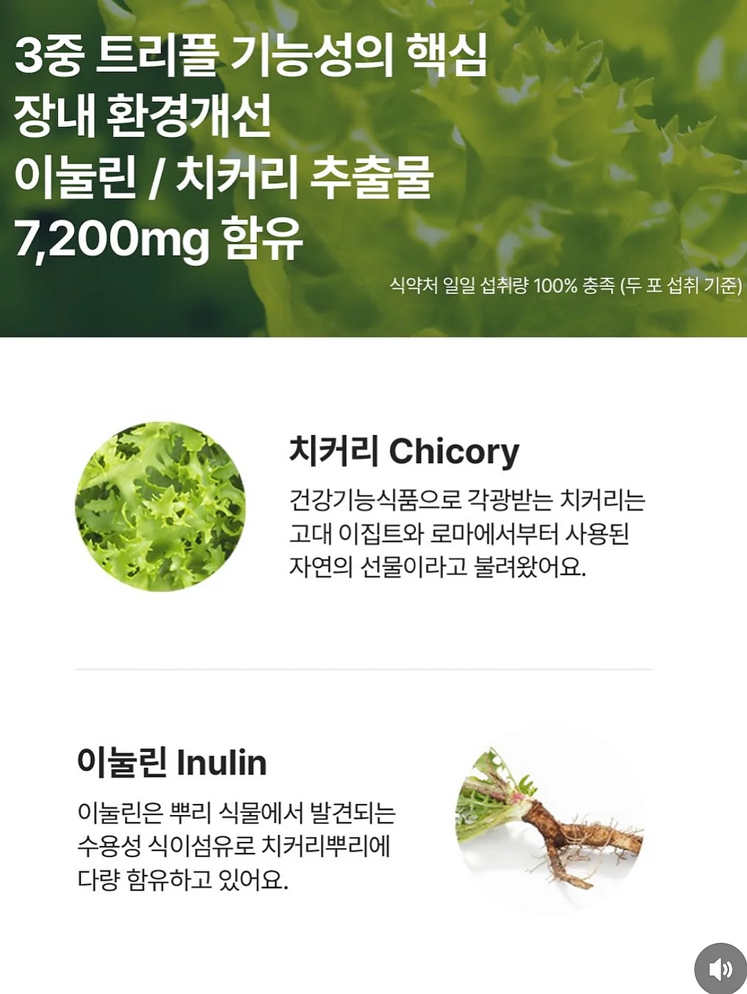 버뮤다 팬츠 10