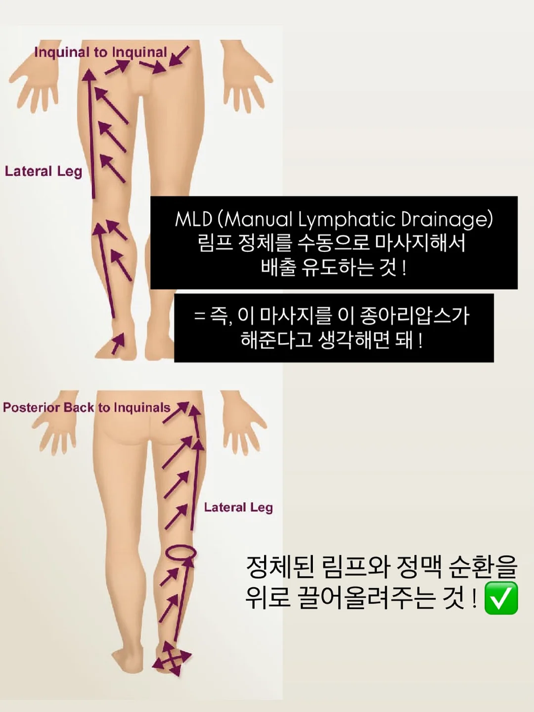 리지 컨설팅 8기 14
