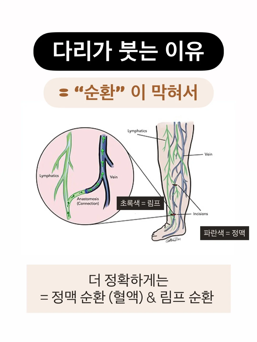 리지 컨설팅 8기 3