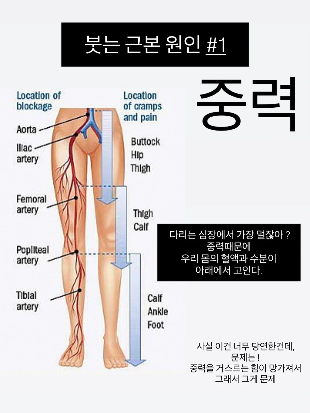 리지 컨설팅 8기 4
