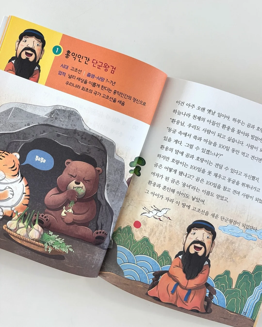 나시 고쟁이 4