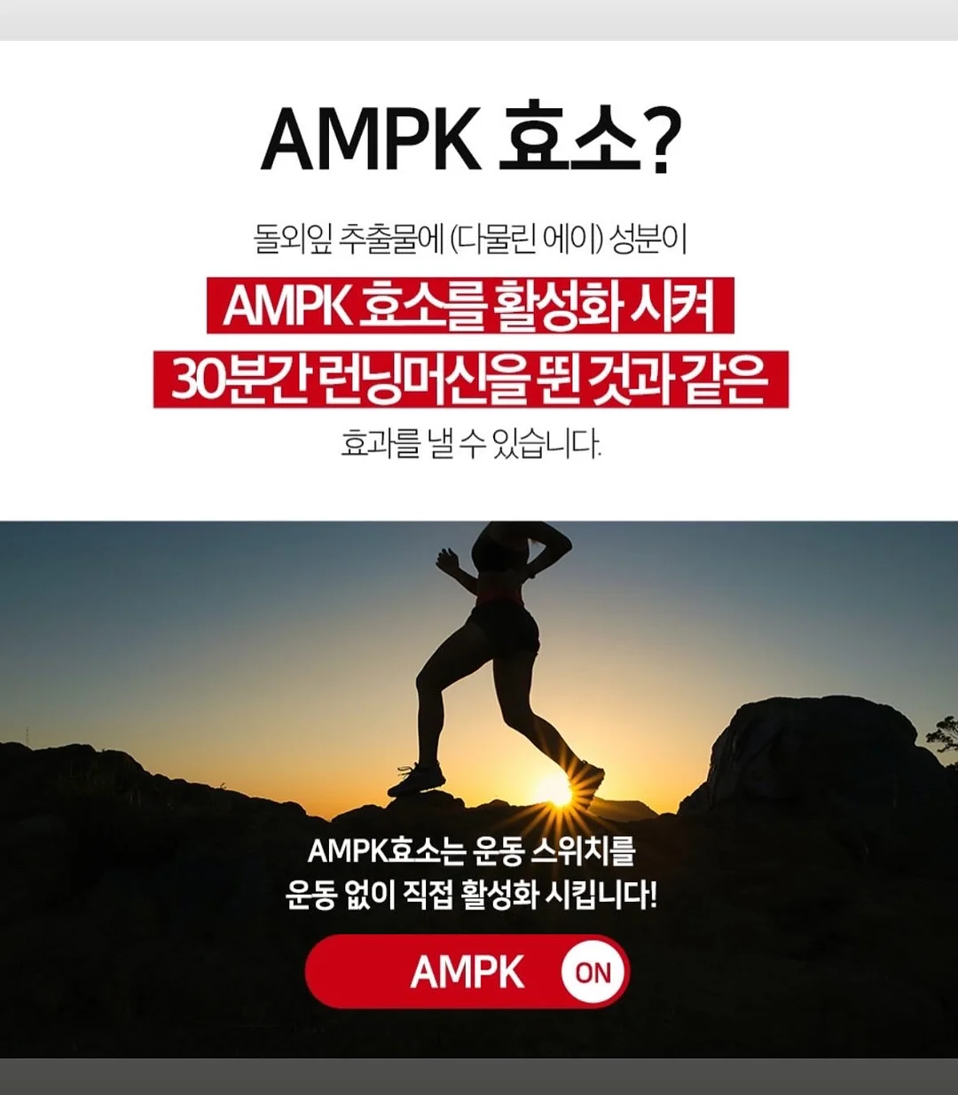 컬리지 썸머맨투맨티/나일론 포켓팬츠 4
